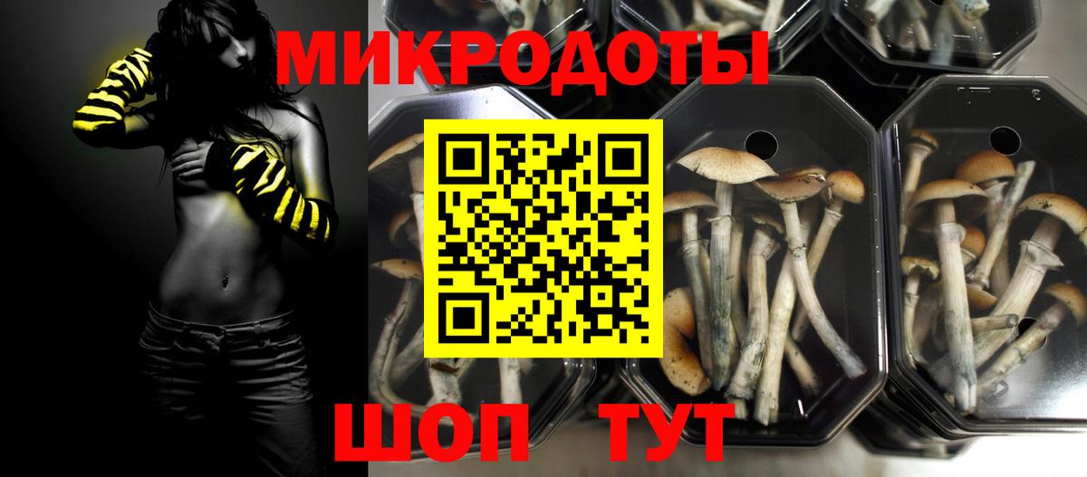 Ессентуки  Галлюциногенные грибы ЛСД  магазин продажи наркотиков  Галлюциногенные грибы прущие грибы  Вход с VPN 